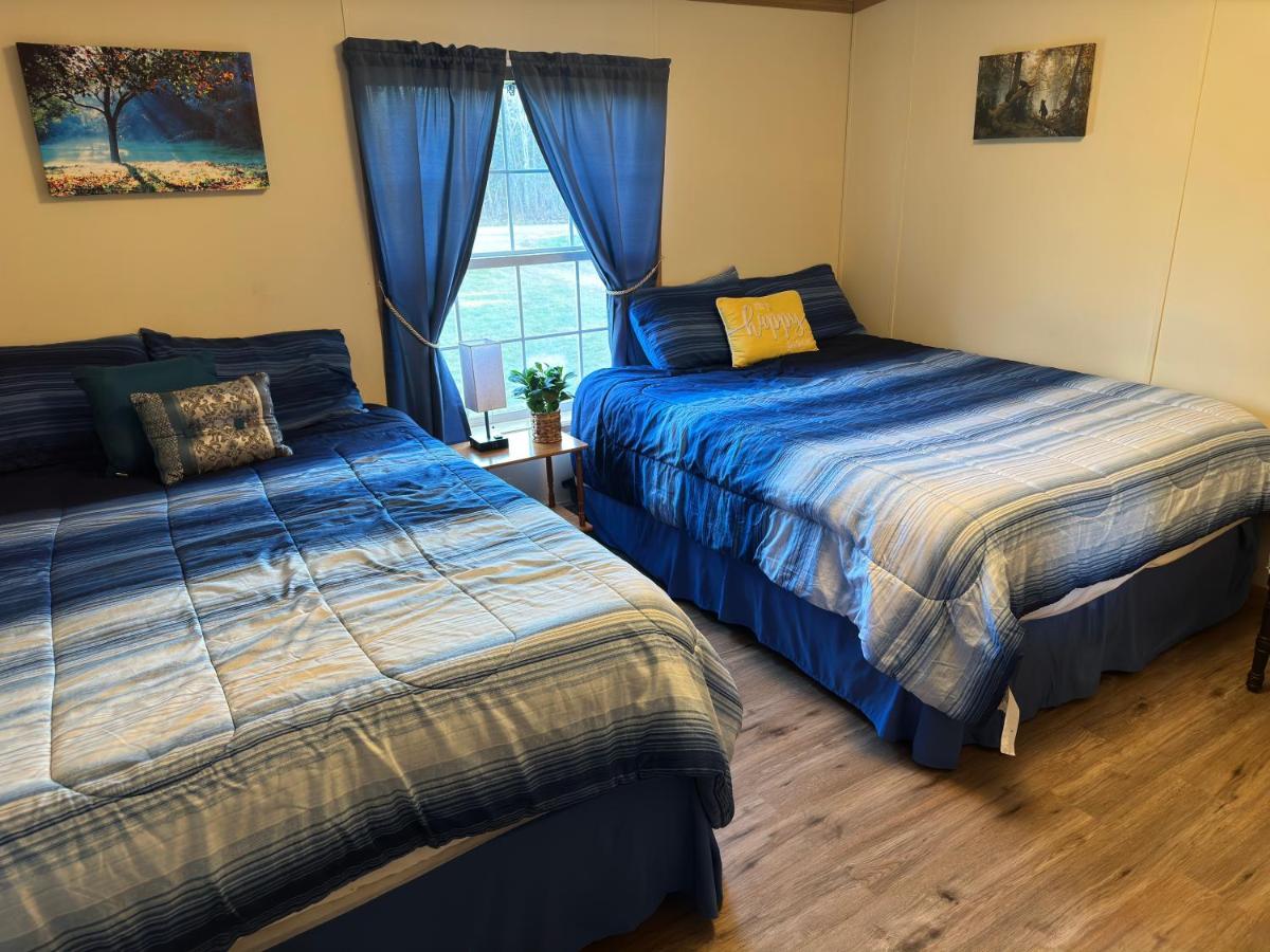 Spacious Cozy Getaway ! King Bed, Game Room, Out Door Patio Cairo Dış mekan fotoğraf
